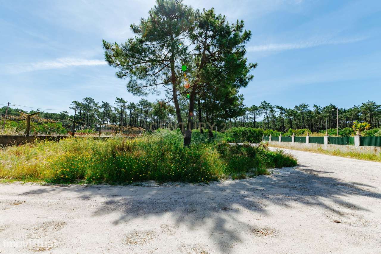 Terreno Urbano na Charneca de Caparica | Pinhal da Aroeira-10
