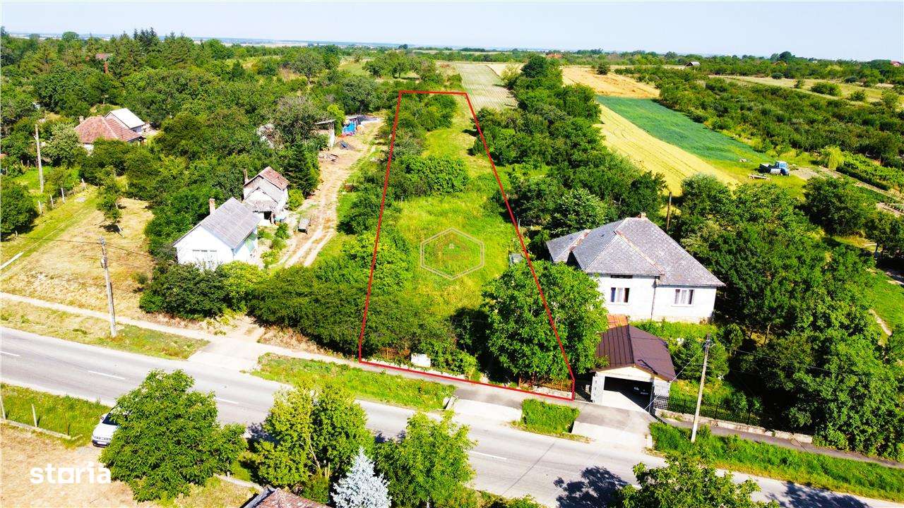 Teren intravilan - 2.488 mp in Viile Satu Mare | Drum principal - Imagine principală: 2/9