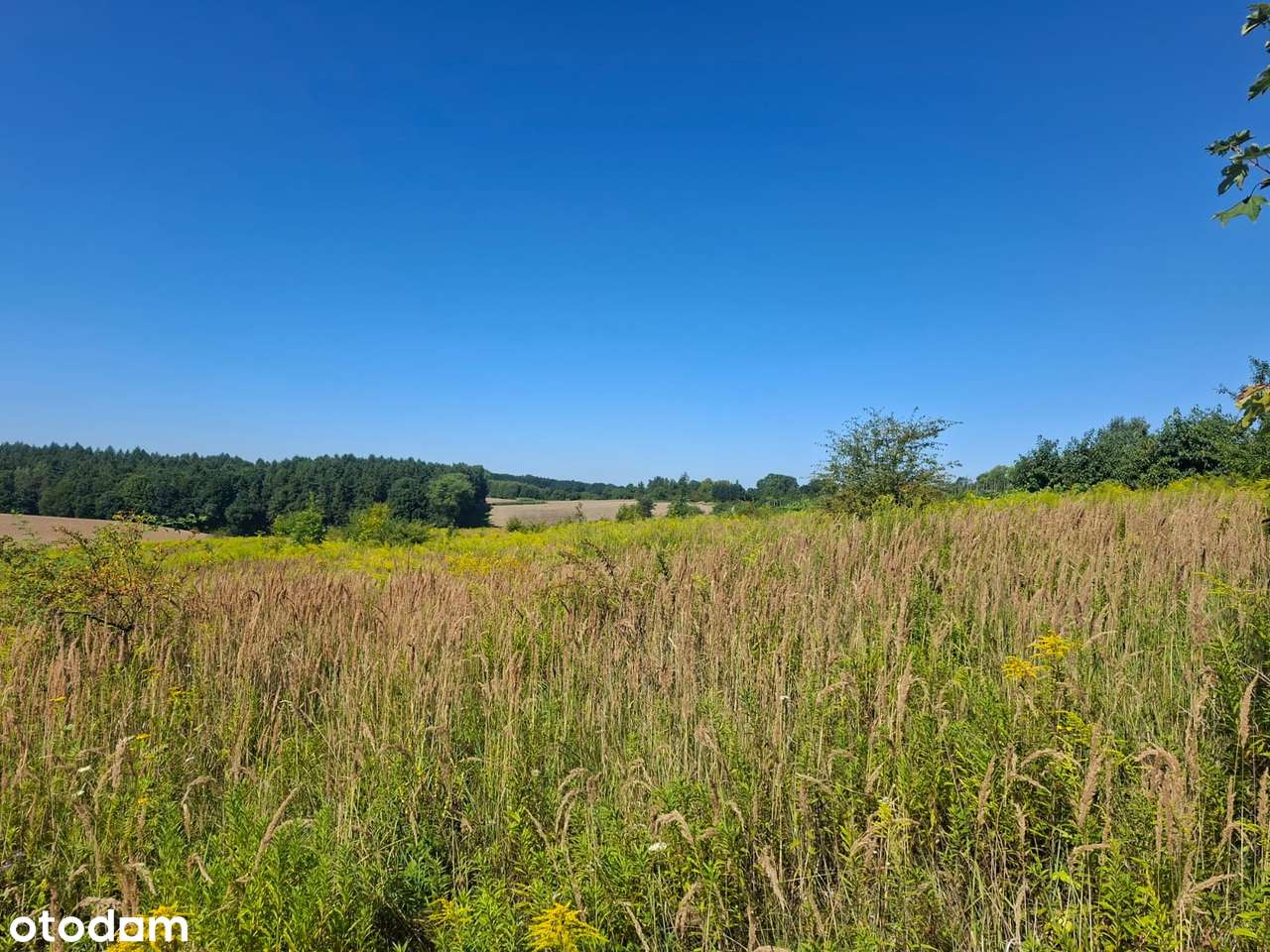 Widokowe działki budowlane - Zagórzyce Dworskie k/Michałowic-3