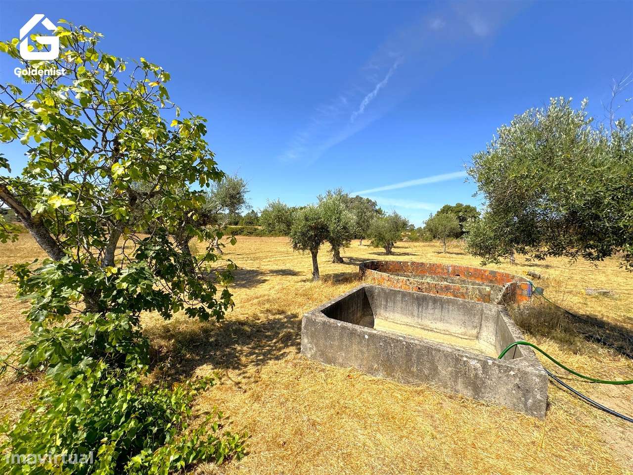 Quinta  Venda em Lardosa,Castelo Branco-52