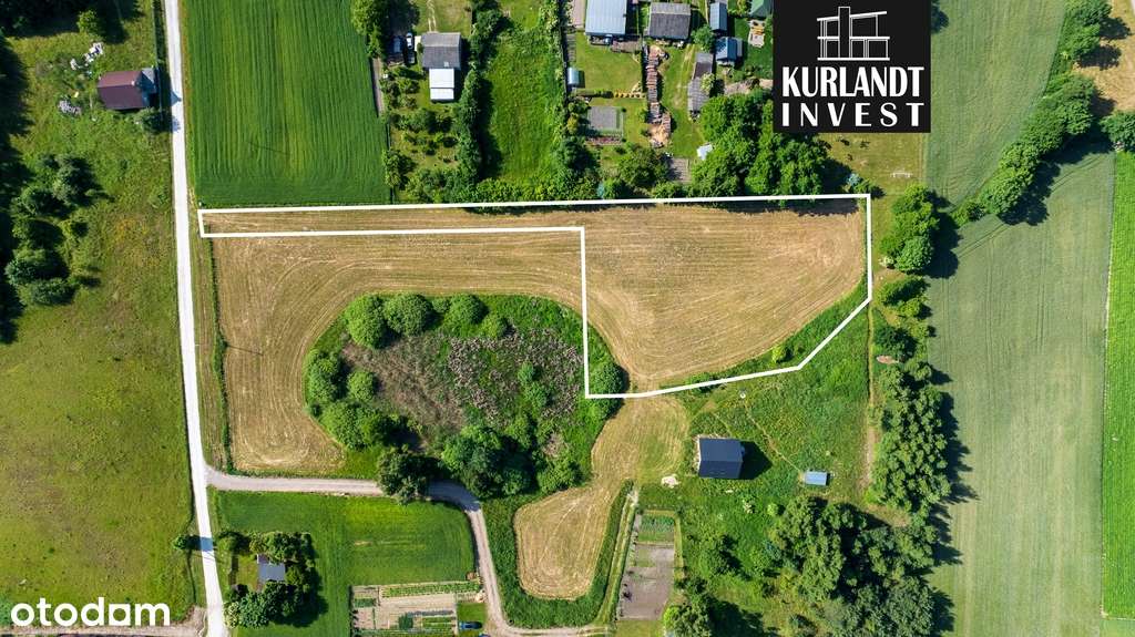 Działka Warunki Zabudowy 3953 m² - Pełny obrazek: 5/6