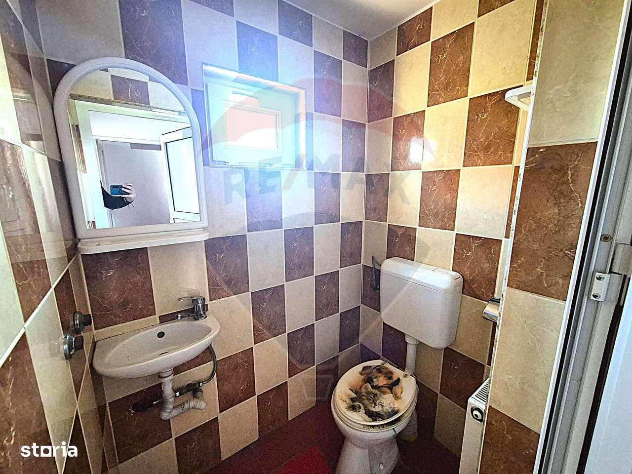 Casă / Vilă de vanzare in Serbanesti-16