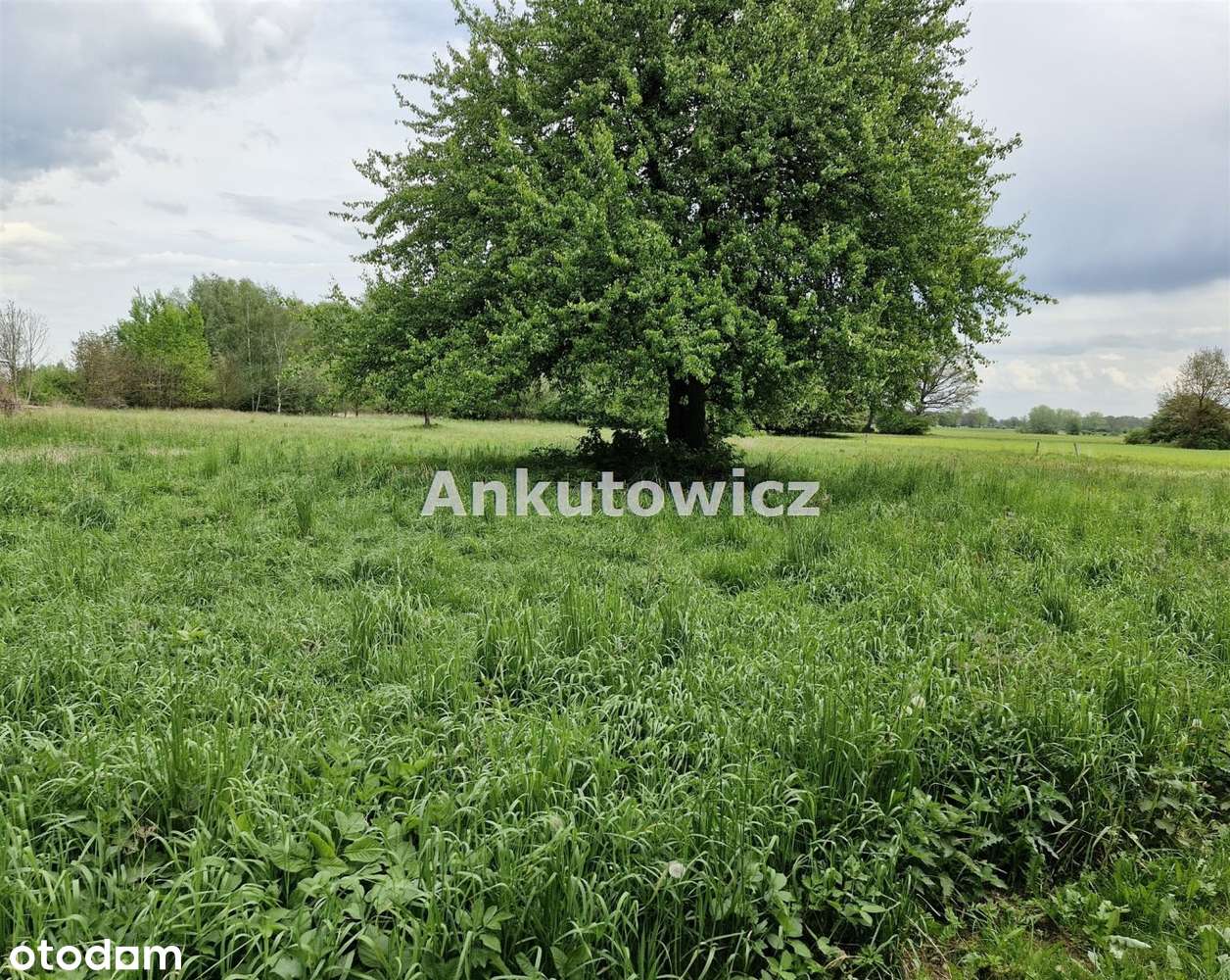 Dom na sprzedaż, Lubin (gw)-9