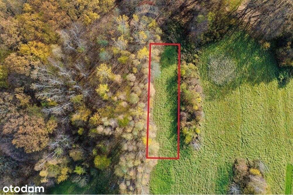 Działka rolna 848 m² w Oczkowie - Pełny obrazek: 4/11