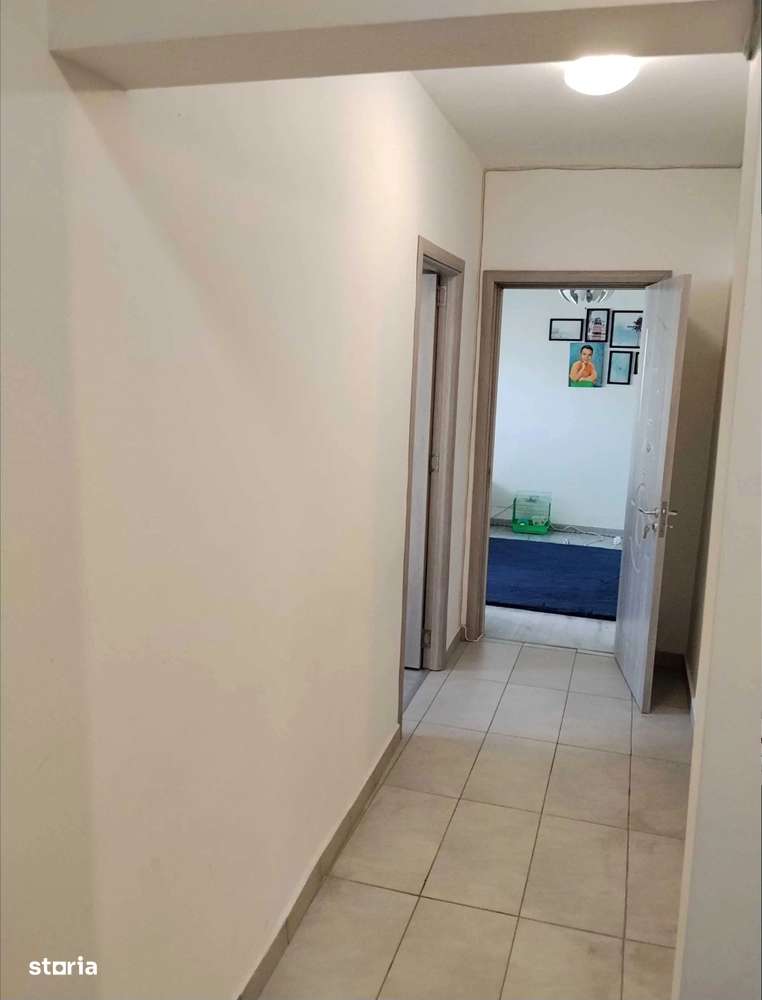 Baba Novac- Campia Libertatii, scoala Leonardo da Vinci-8