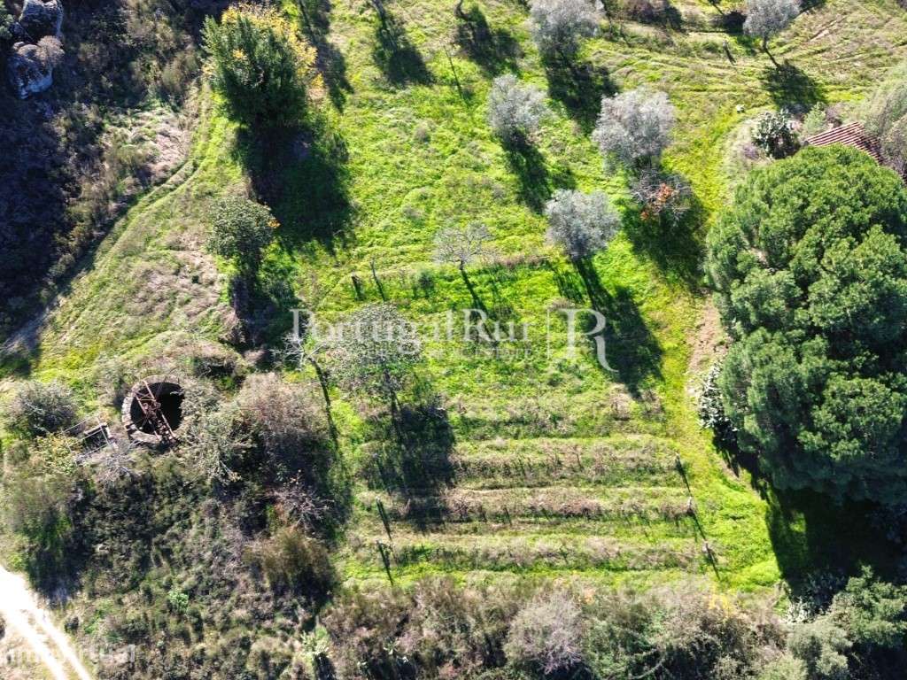 Terreno rústico em Monsanto - Grande imagem: 4/17