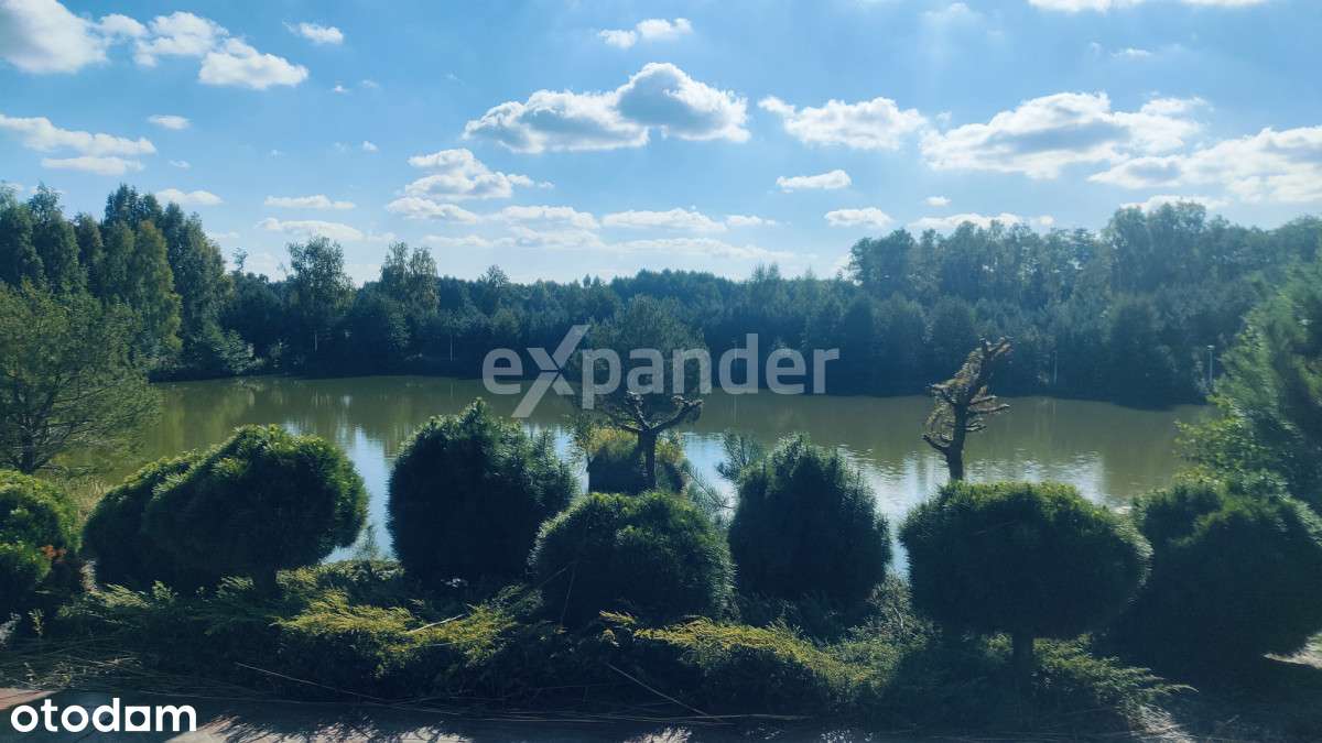 Luksusowa Willa z prywatnym jeziorem - Pełny obrazek: 5/20