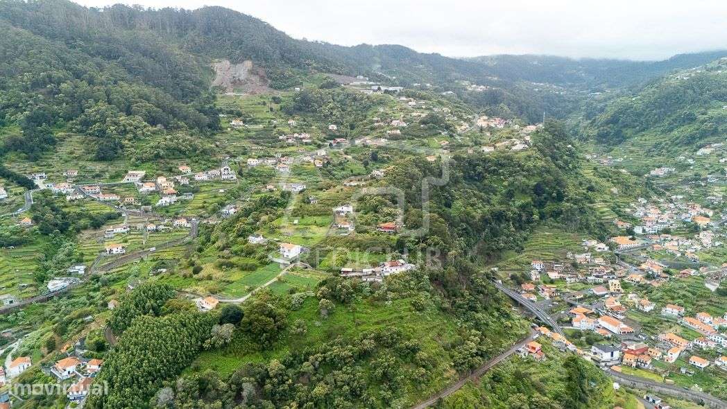 Terreno 2420 m2 - Machico-11