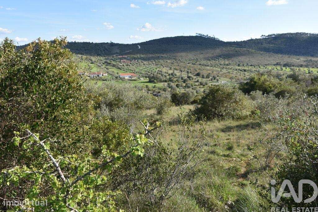 Terreno Agrícola em Chãos - Grande imagem: 2/32