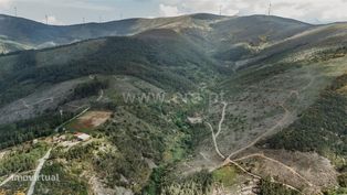 Terreno / Covilhã, Sobral de São Miguel - Grande imagem: 2/20