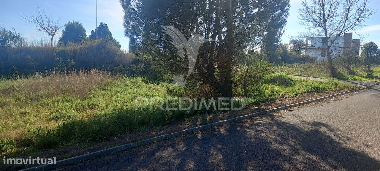 Lote de Moradia - Grande imagem: 4/6