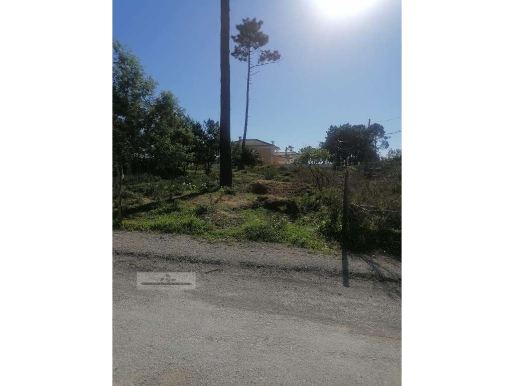Terreno urbano com 3977 m2 na Aroeira, Charneca de Caparica.-12