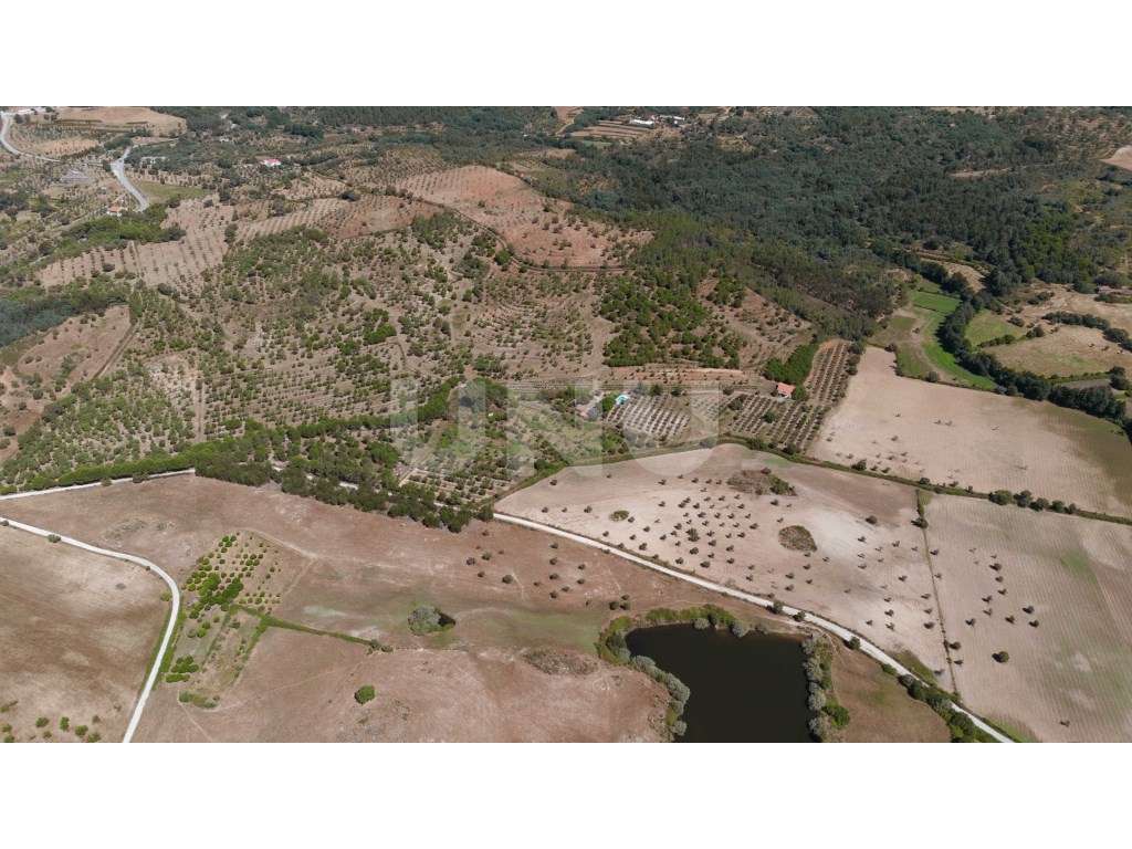 Herdade com 34 Hectares-34