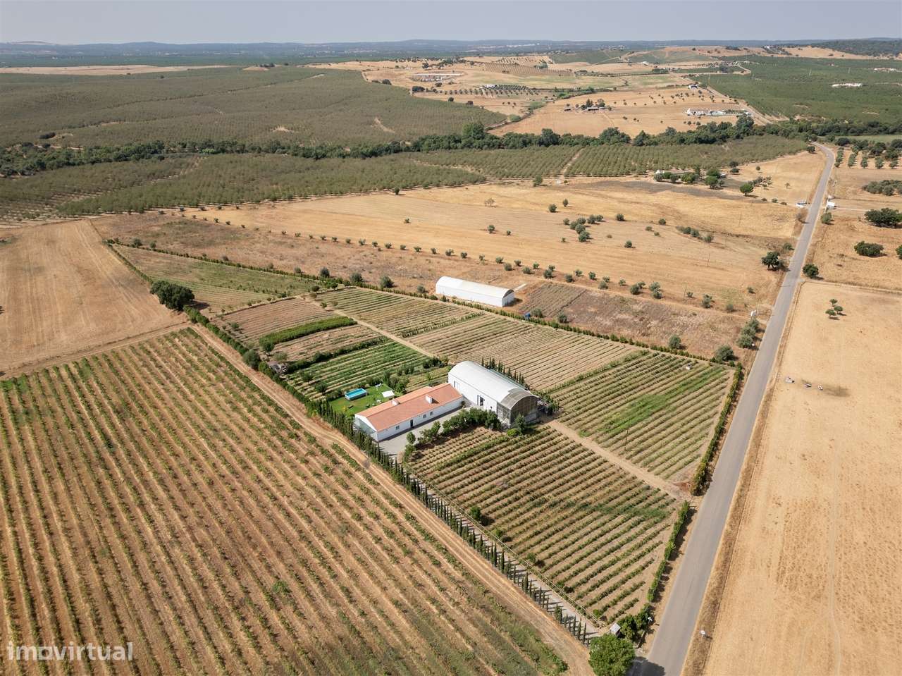 Quinta Biológica - Monte de Palma em Sao Manços com negócio.-6