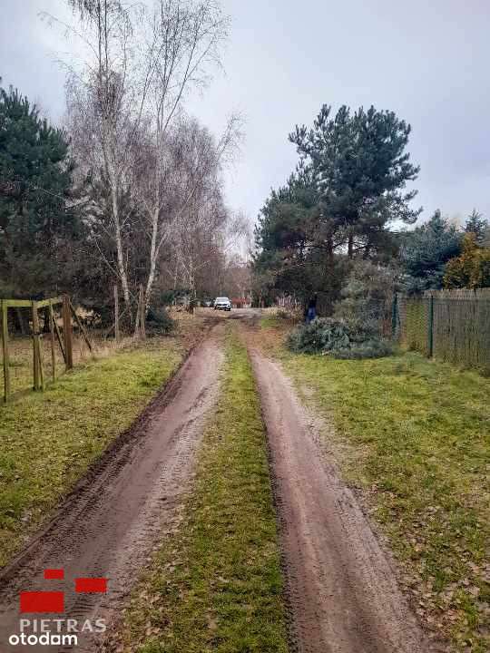 ok Stęszewa-Sapowice  fajna działka pod własny dom-7