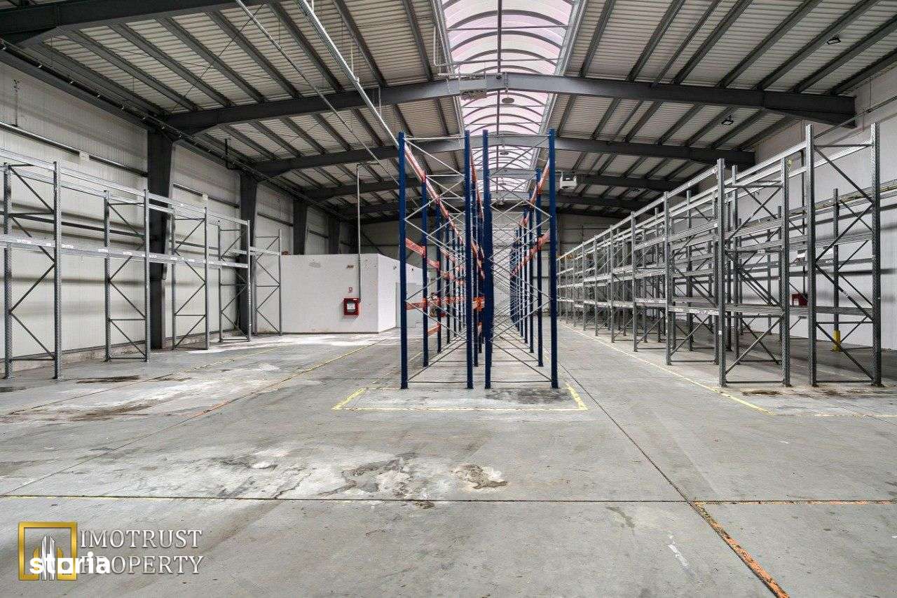 Vanzare Hala Premium 856 mp, Arad - Pret promotional!-4