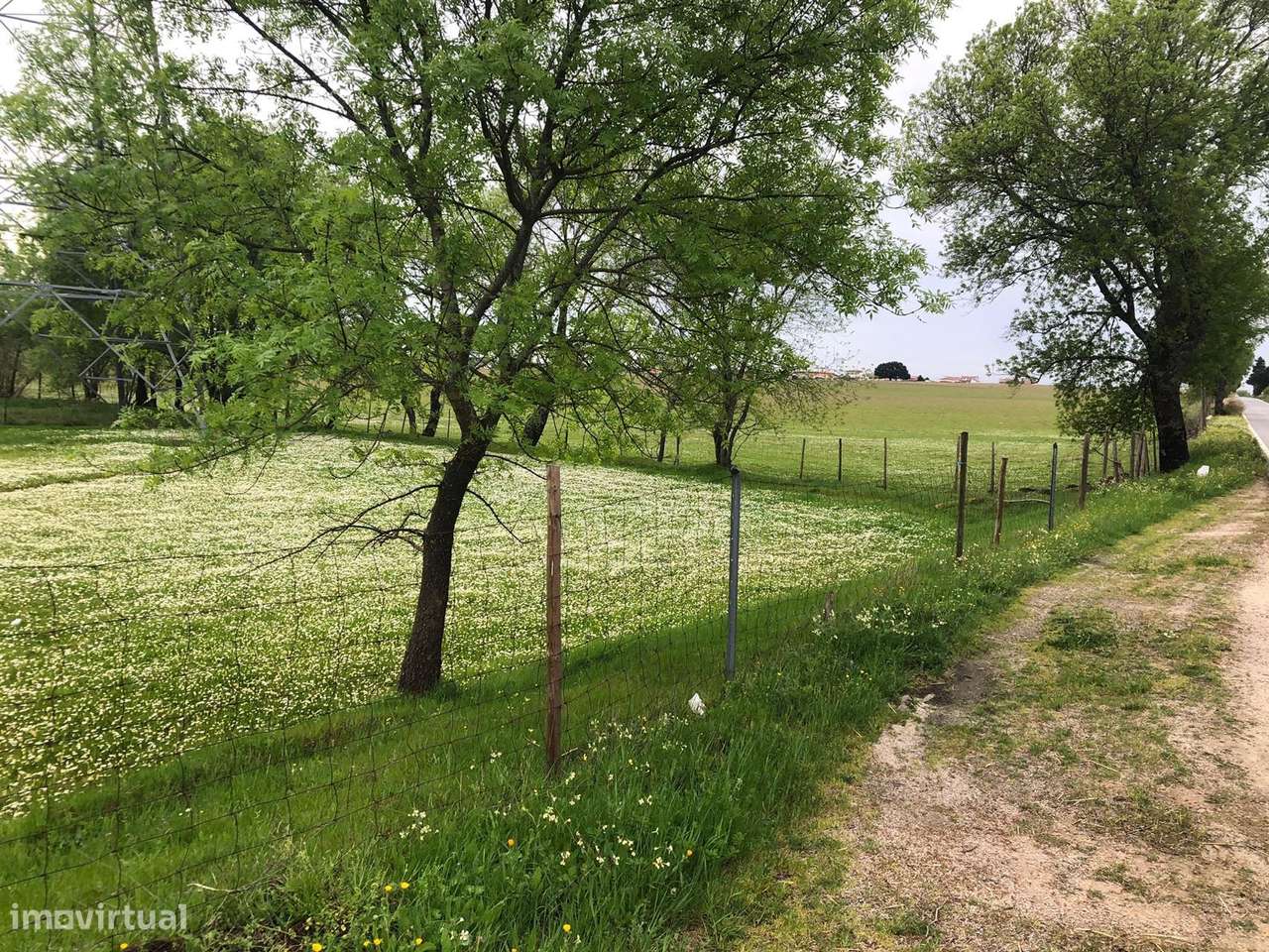 Terreno - Grande imagem: 5/8