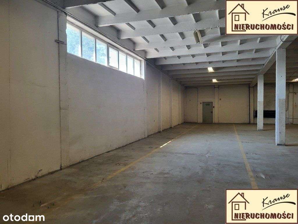 magazyn ogrzewany, rampa, - Pełny obrazek: 4/20