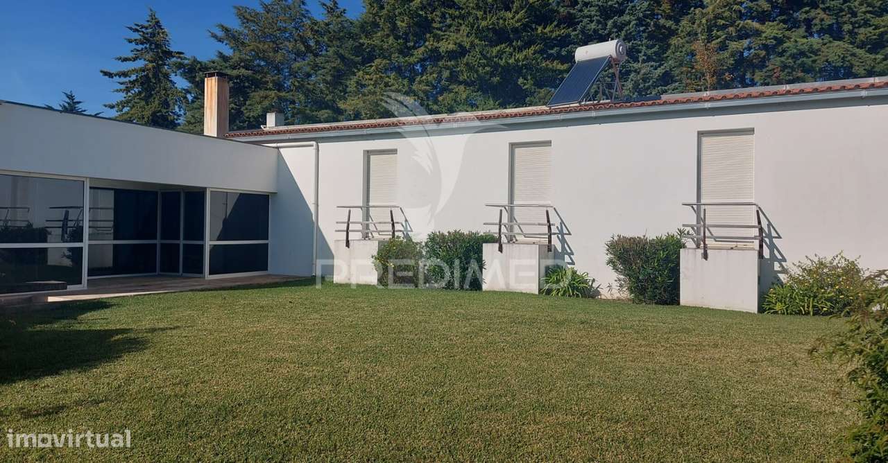 Moradia T4 com Garagem,Terreno e Olival, Moçarria, Santarém. - Grande imagem: 1/30