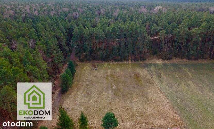 Dwie malownicze  działki pod lasem 1017 i 1957 m2 / Panoszów-10