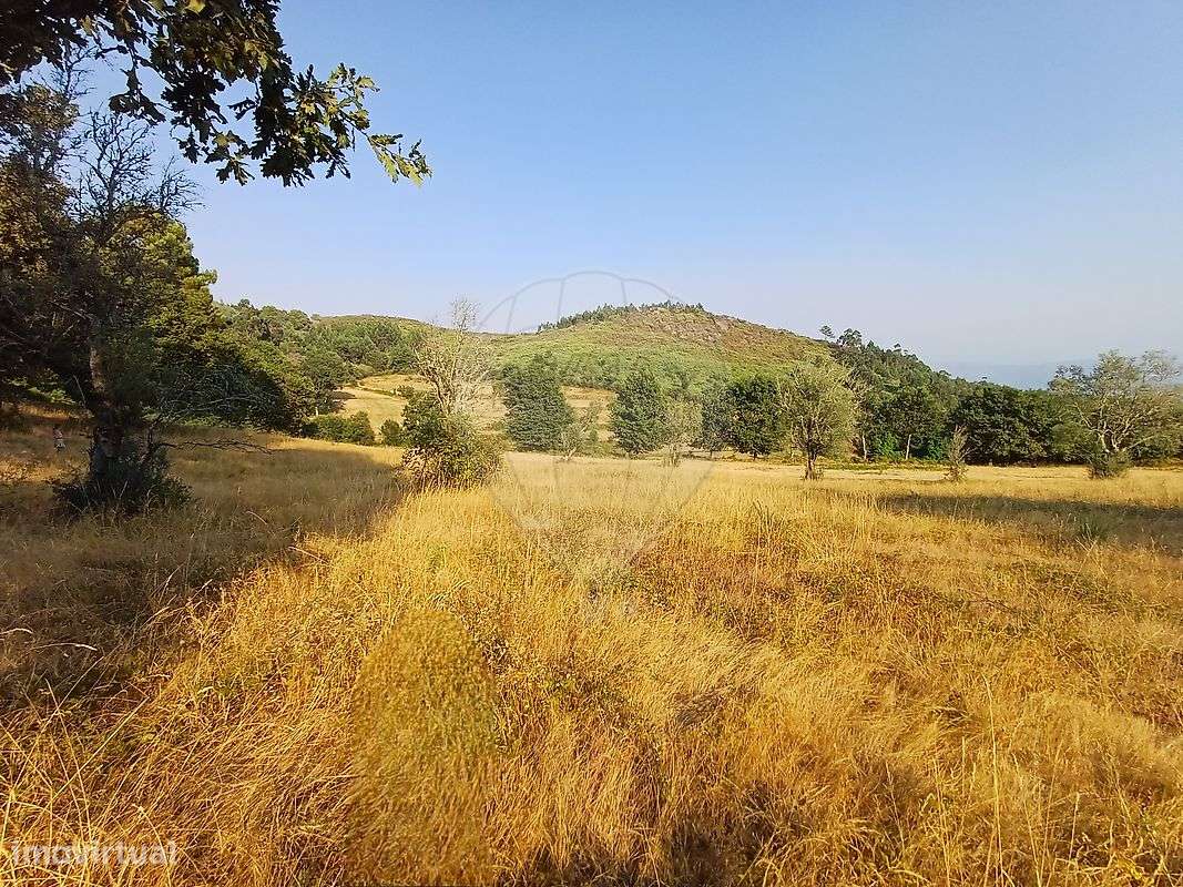 Terreno  para venda - Grande imagem: 5/8