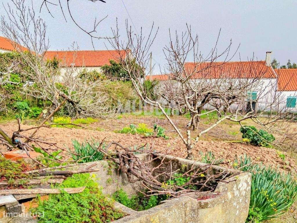 Ruína para recuperar com terreno de 1.050 m2 poço e árvores de fruto A - Grande imagem: 2/23