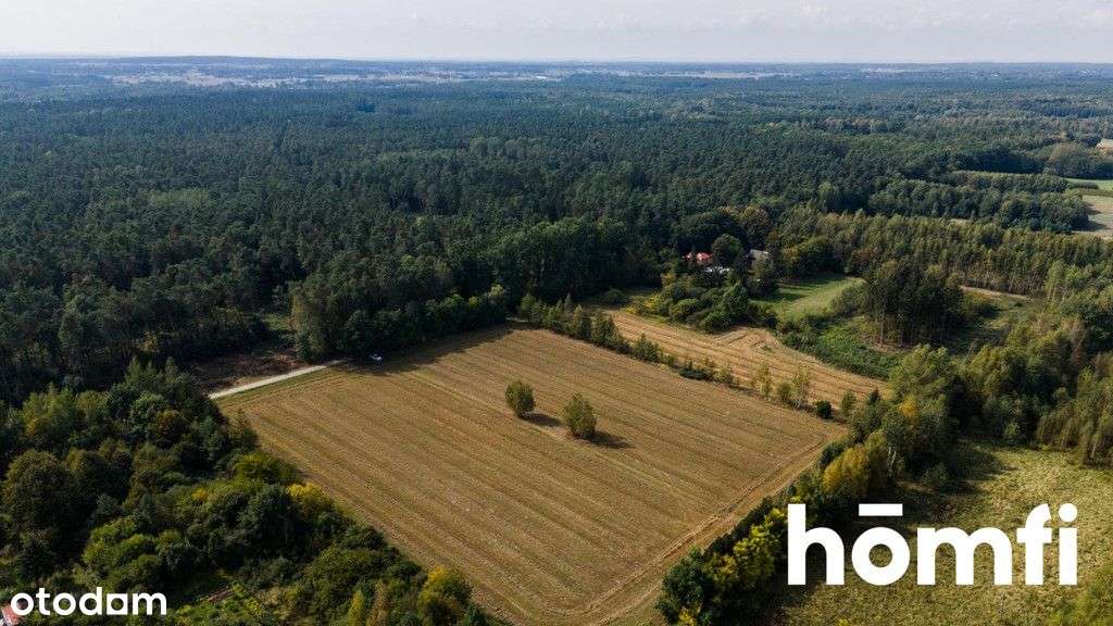 Działka z Wz na 8 domów jednorodzinnych - Pełny obrazek: 4/20