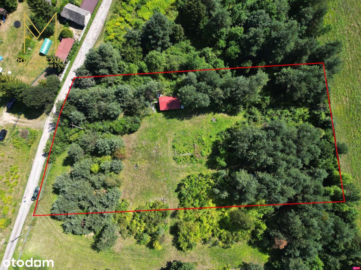 Działka Budowlana 4966 m2 blisko lasu Łęka - Pełny obrazek: 2/12