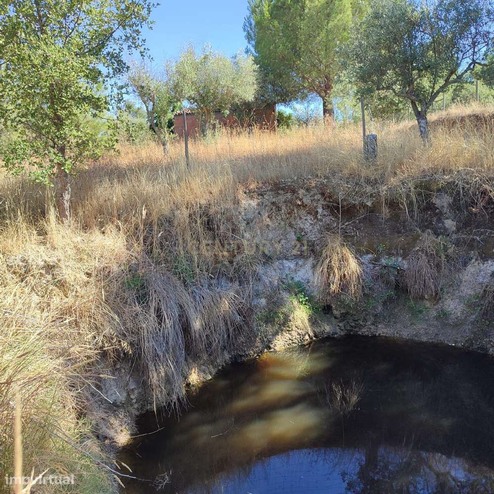 Terreno Rústico em Tinalhas, Castelo Branco - Grande imagem: 4/15