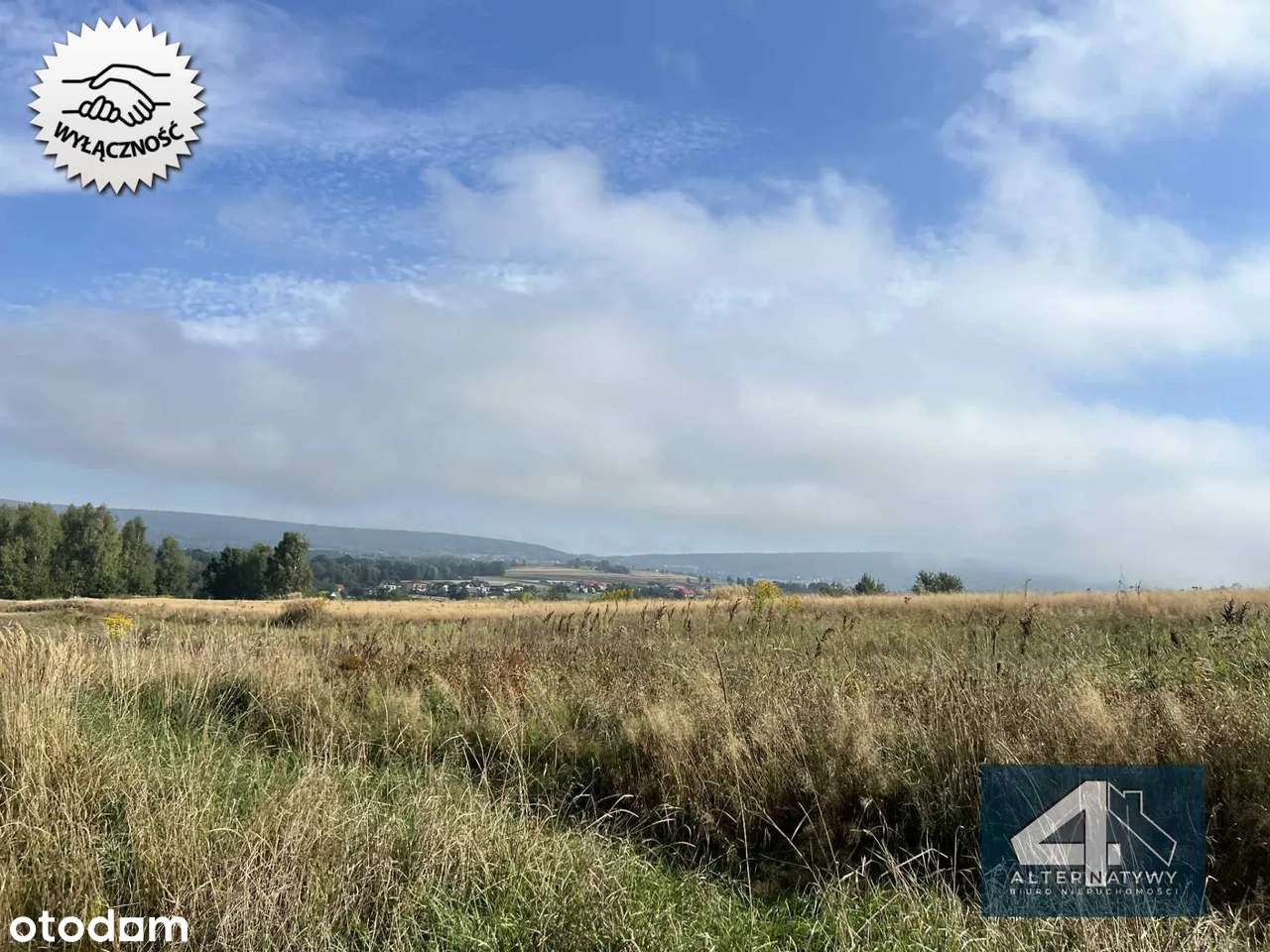 Działka z potencjałem - Pełny obrazek: 5/14