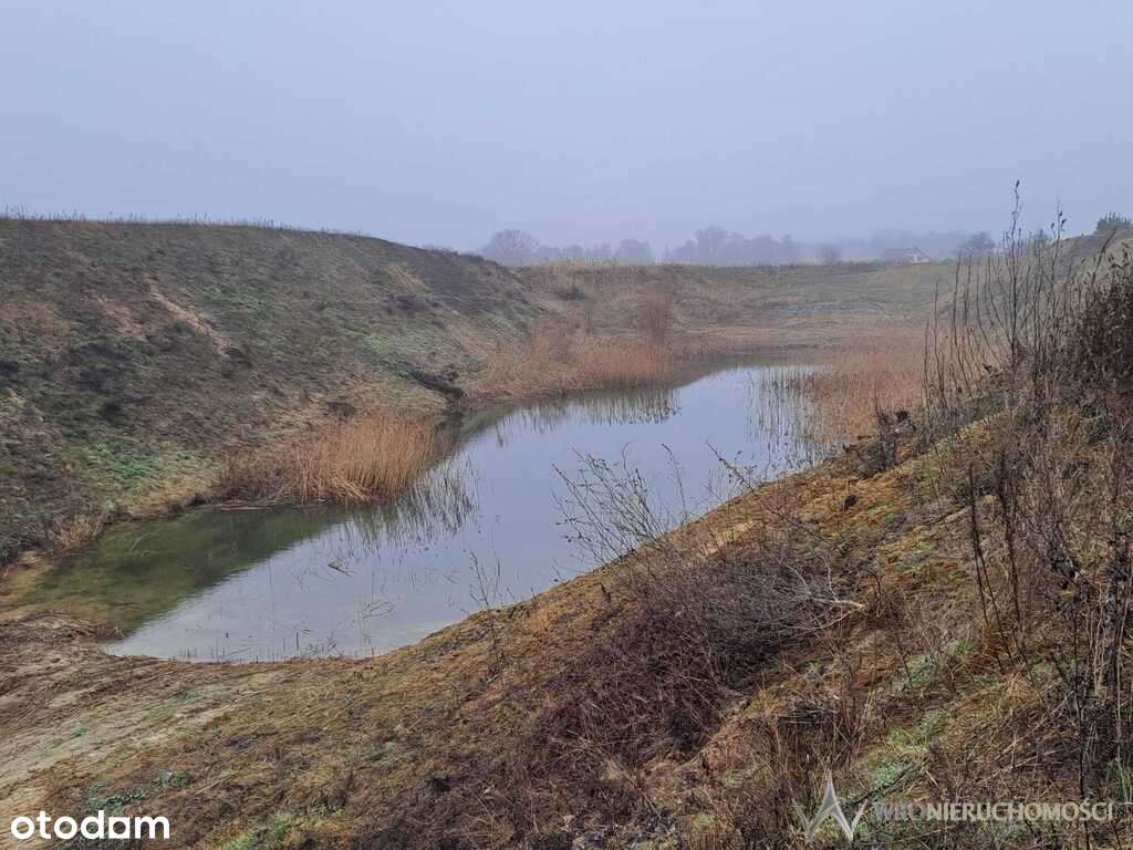 Nieczynna kopalnia piasku, okolice Milicza - Pełny obrazek: 4/5