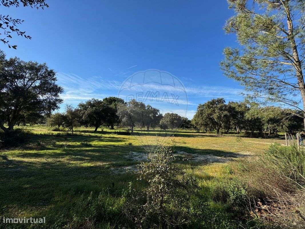 Terreno  para venda - Grande imagem: 5/8