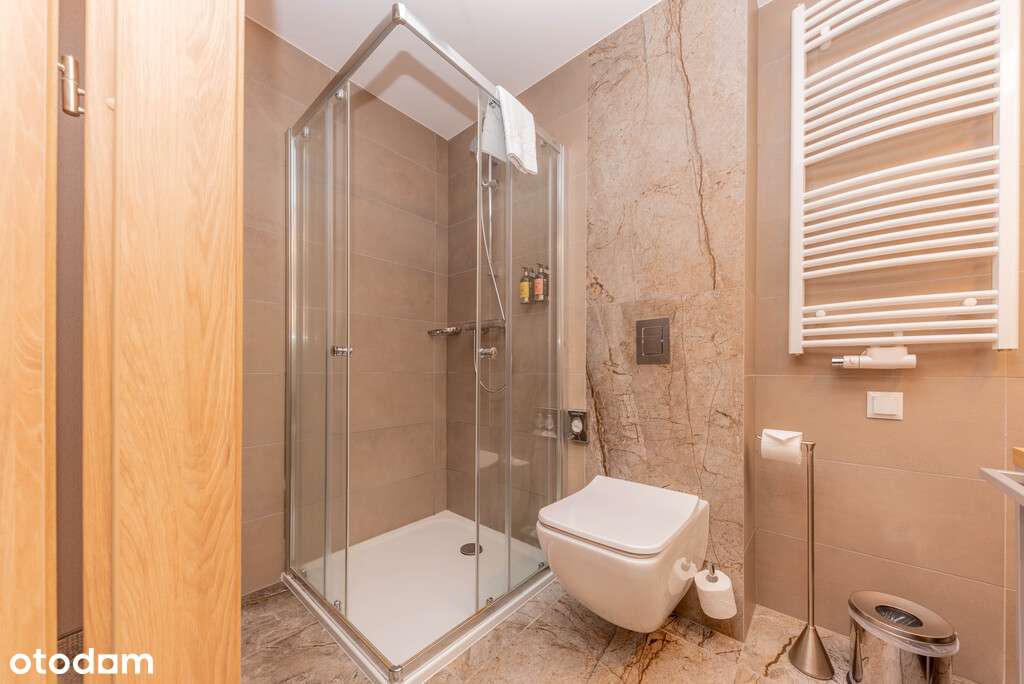 Platinum Mountain - zarabiający rocznie 36 912 zł-4