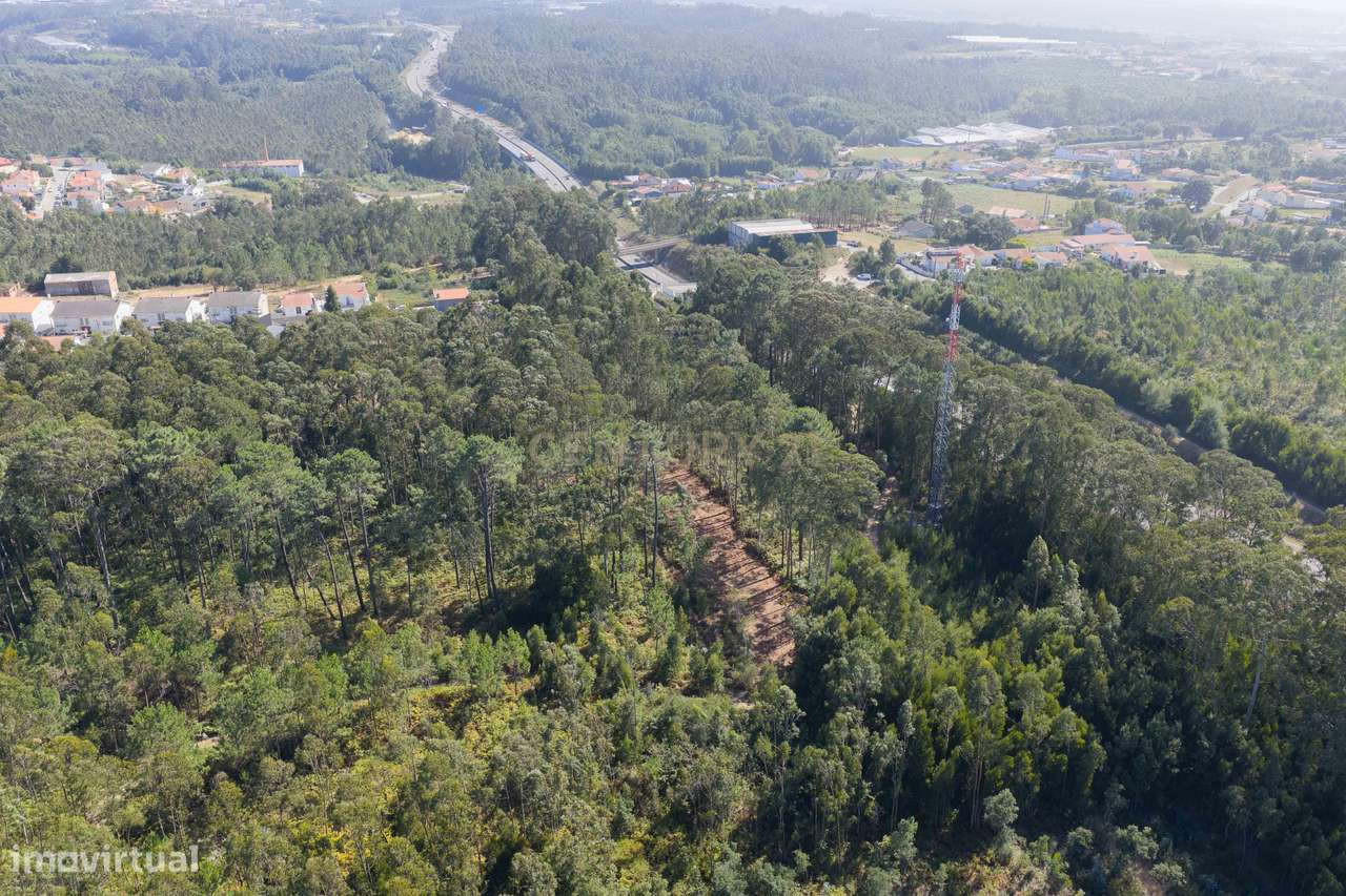 Terreno Espetacular em Aveiro, 1200m² por 15500€ - Grande imagem: 5/6