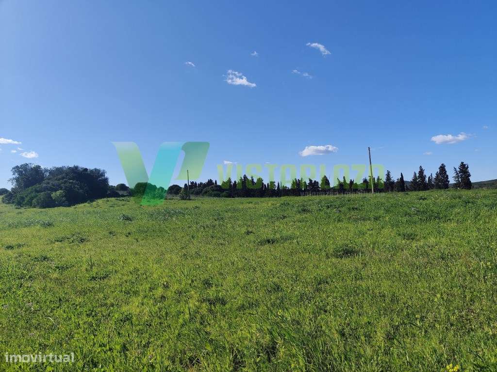 Terreno Rústico no Cotifo, Bensafrim (Lagos). - Grande imagem: 4/6