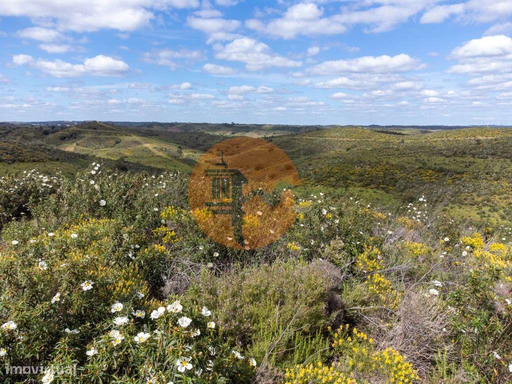 Terreno Rústico para Venda em Botelhas - Castro Marim - Grande imagem: 4/30