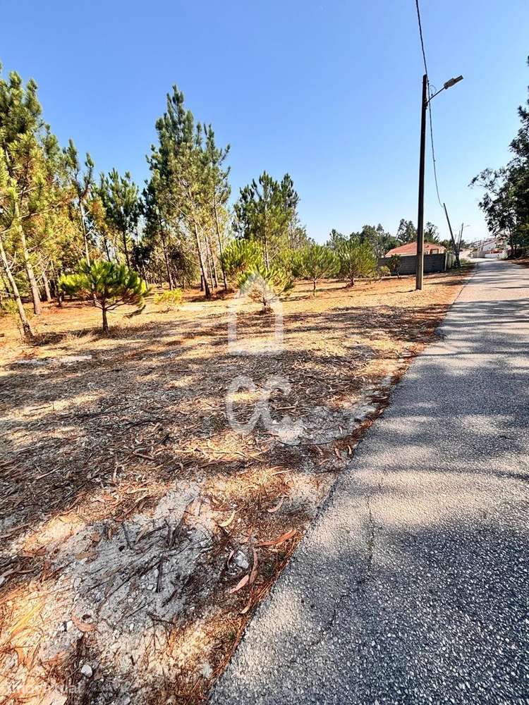 Terreno urbanizável com a área de 1677 m2, inserido no aglomerado urba-8