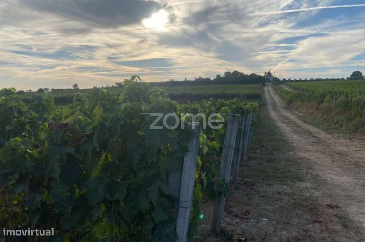 Terreno rústico com 34.330 m² de área - Grande imagem: 3/8