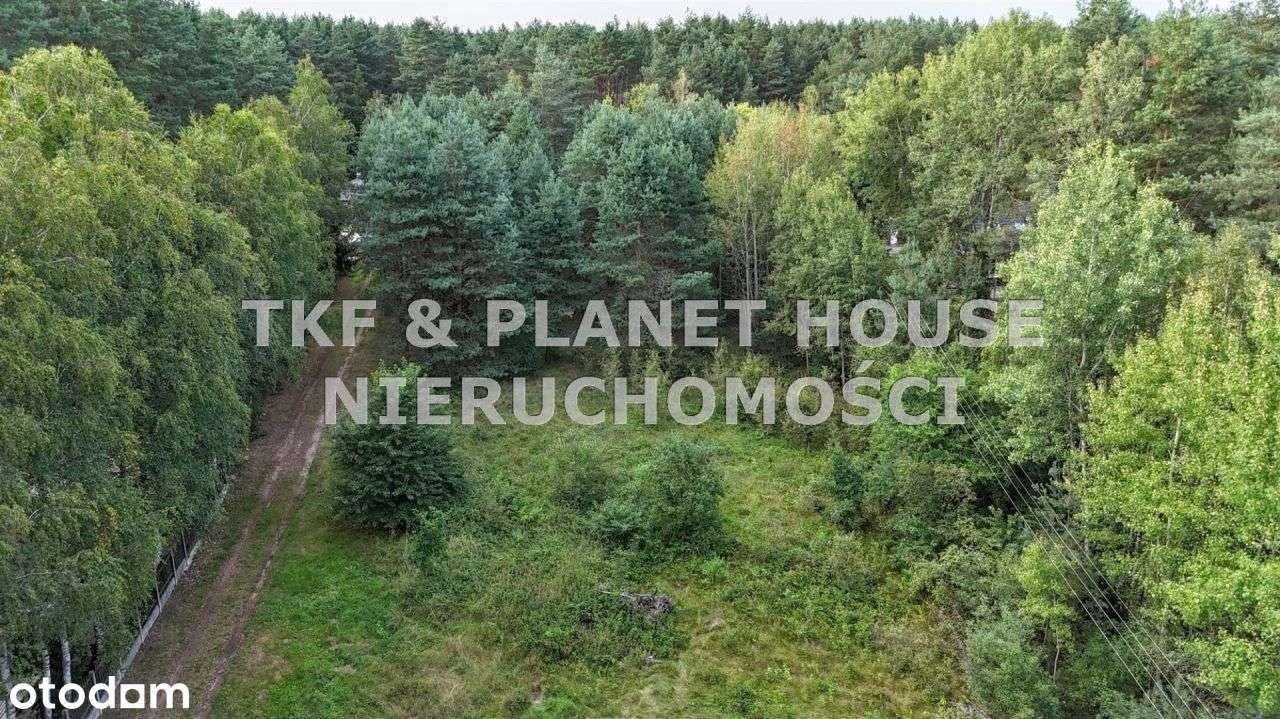 Działki pod budowę domów- Inowłódz - Pełny obrazek: 4/7