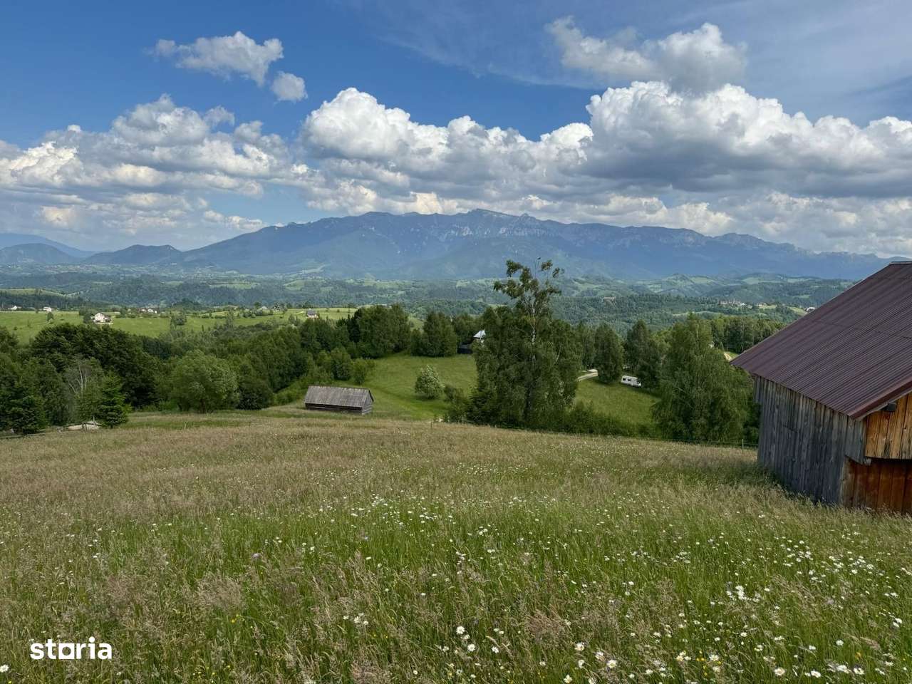 Teren inconjurat de natura de vanzare in Pestera - Imagine principală: 4/11