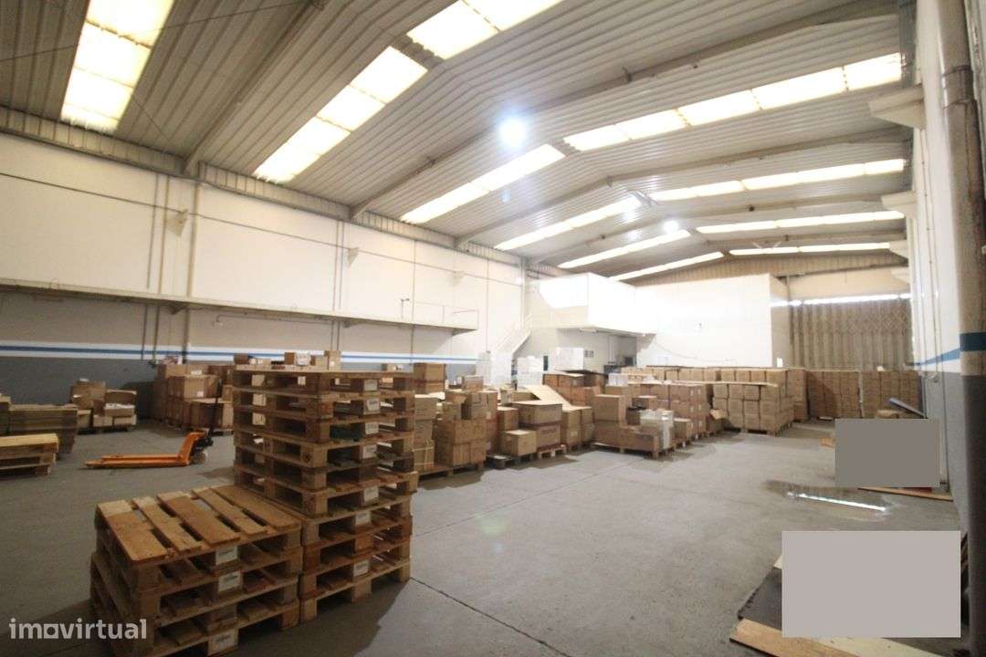 Excelente Armazém em Esmoriz - Grande imagem: 5/17