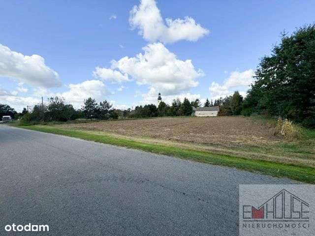 Kotowice-Działka-Las-blisko Wrocław/ Szewce-5