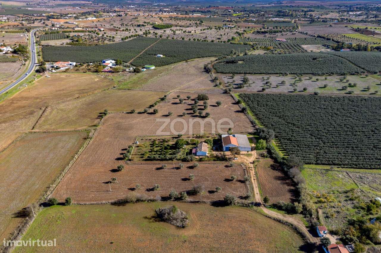 Monte do Ribeiro dos Frades com 2,5Ha - às portas da cidade - Grande imagem: 2/36