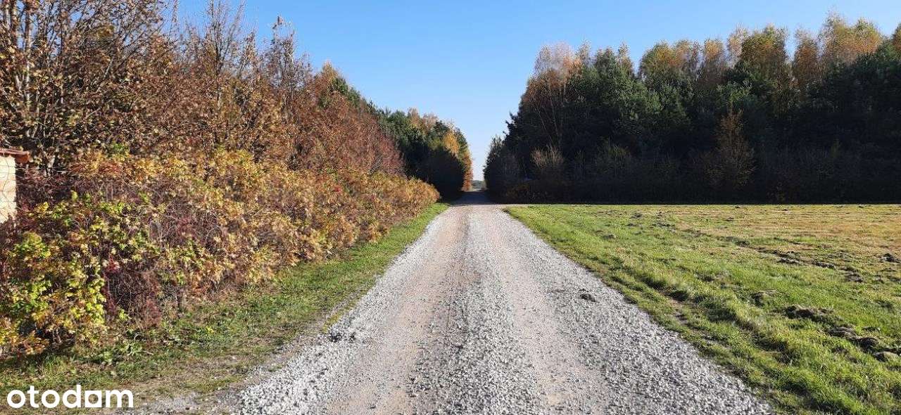 Piękna działka siedliskowa z budynkami.-6