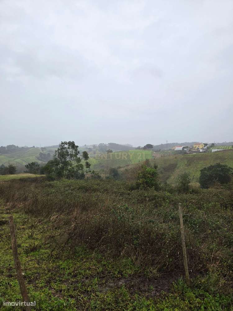 Terreno Rústico em Olhalvo, Alenquer - Oportunidade Única - Grande imagem: 5/23