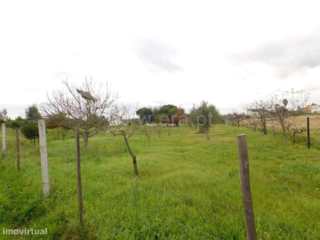 Terreno / Seia, Tourais e Lajes - Grande imagem: 4/10