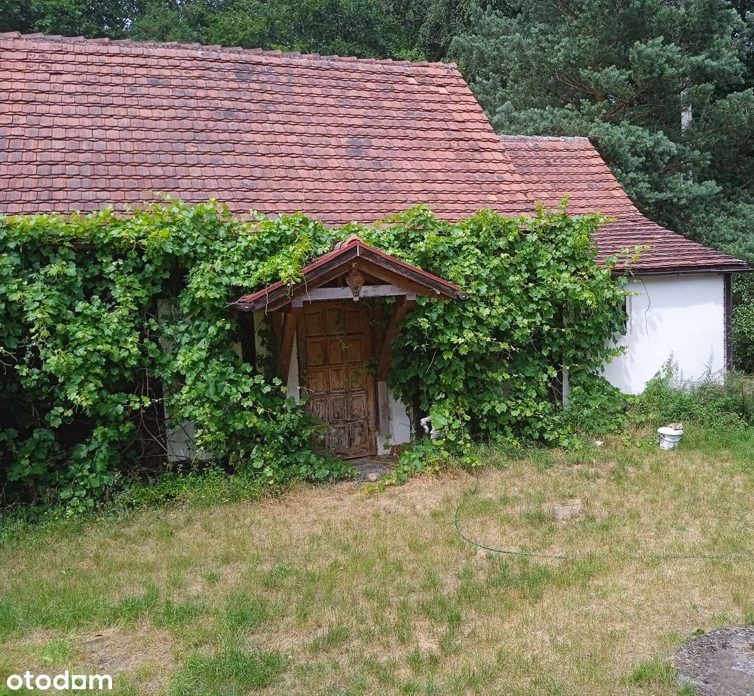 Dom z historią w Puszczy Noteckiej (sauna, fotowoltaika) - Pełny obrazek: 2/7