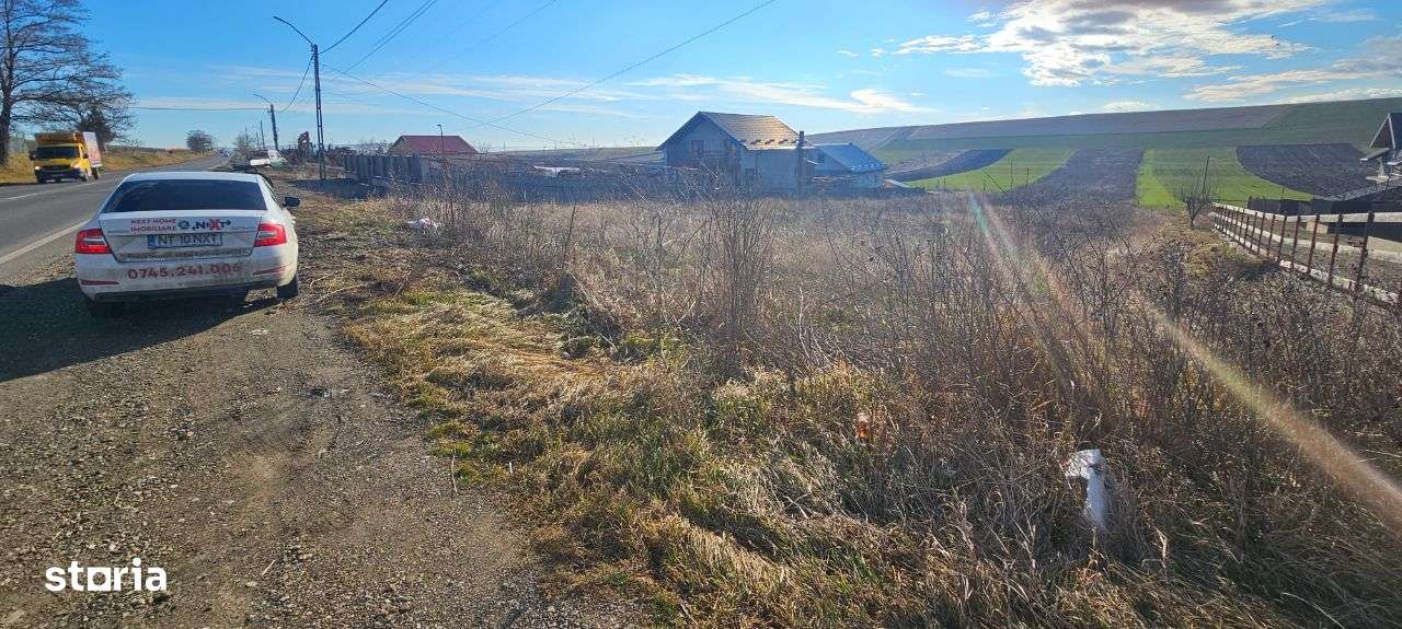 Teren Turturesti la strada principala - Imagine principală: 2/8
