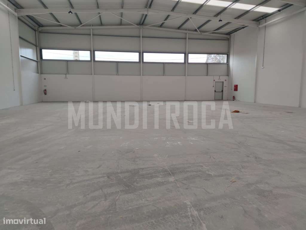 Armazém novo Manhente - Grande imagem: 2/13