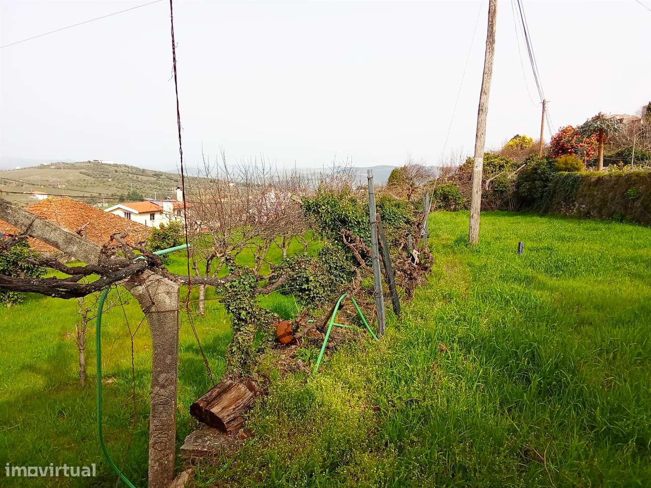 Moradia Isolada T5 Venda em Barcos e Santa Leocádia,Tabuaço - Grande imagem: 2/17